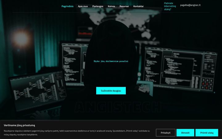 Screenshot of angisec.lt