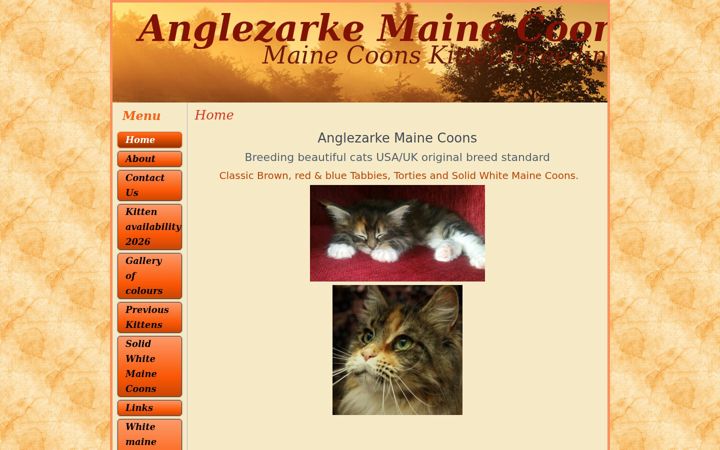 Screenshot of anglezarkemainecoons.co.uk