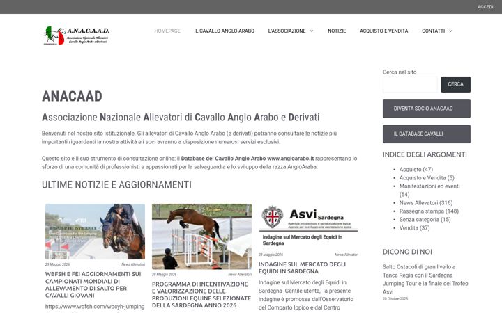 Screenshot of angloarabo.eu