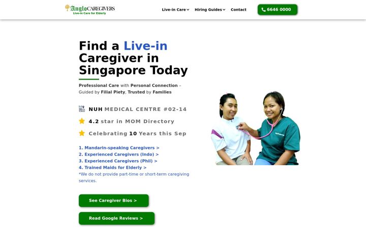 Screenshot of anglocaregivers.com