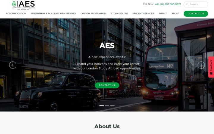 Screenshot of angloeducational.com