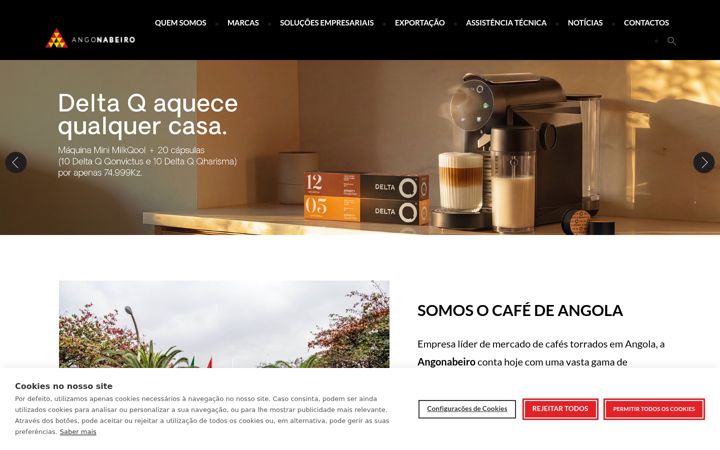 Screenshot of angonabeiro.co.ao