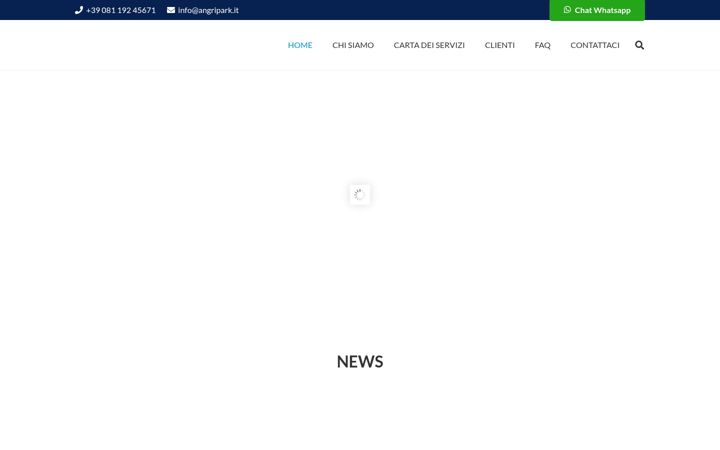 Screenshot of angripark.it