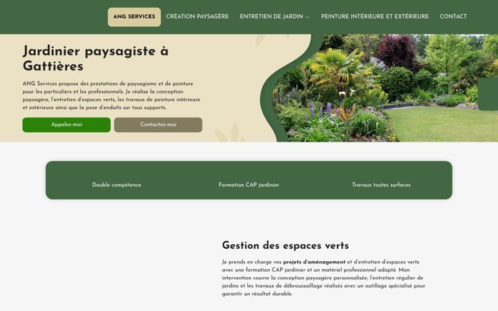 Screenshot of angservices.fr