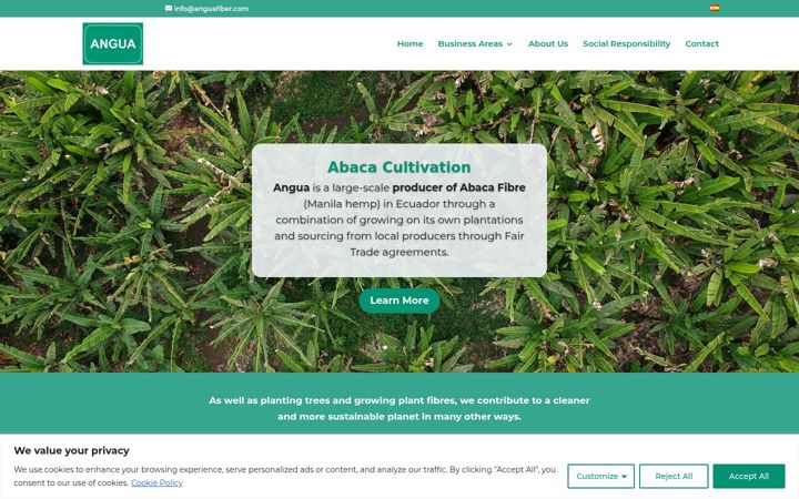 Screenshot of anguafiber.com
