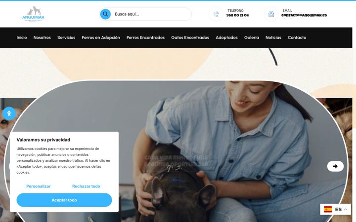 Screenshot of anguimar.com