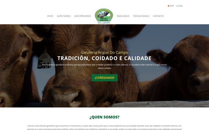 Screenshot of angusdocampo.gal