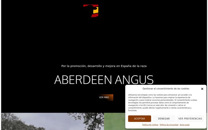 Screenshot of angusespana.es