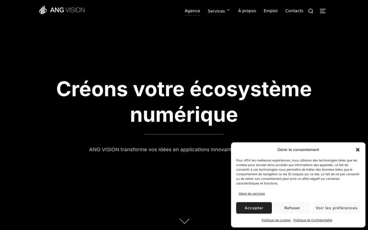 Screenshot van angvision.fr