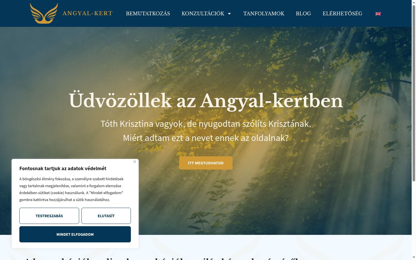Screenshot des Einwilligungsbanners vor jeglicher Interaktion