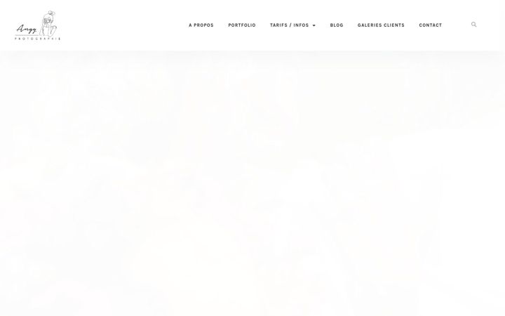 Screenshot of angyphotographie.fr