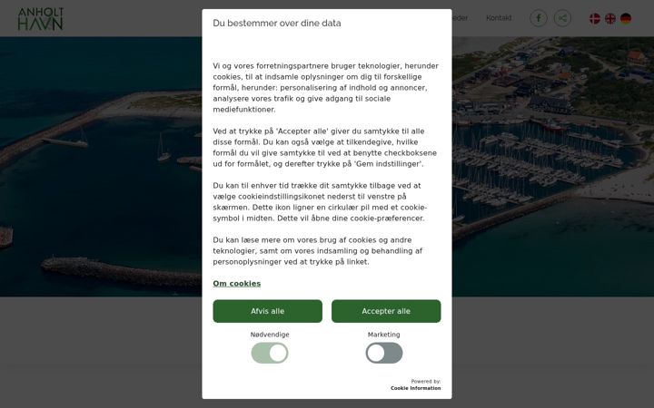Screenshot of anholthavn.dk