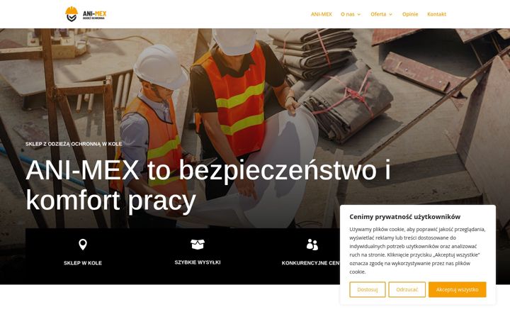 Screenshot of ani-mex.com