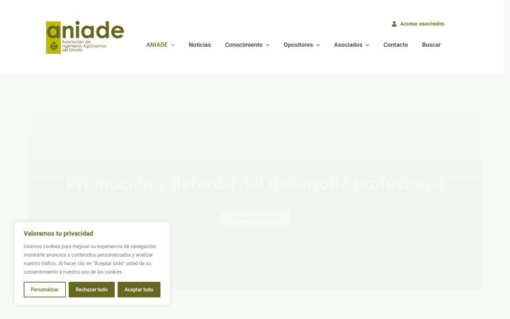 Screenshot van aniade.es