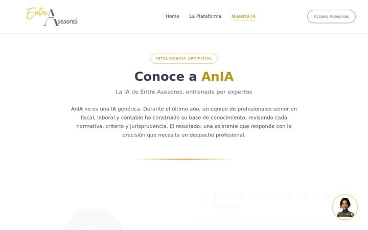 Screenshot of anialegal.com