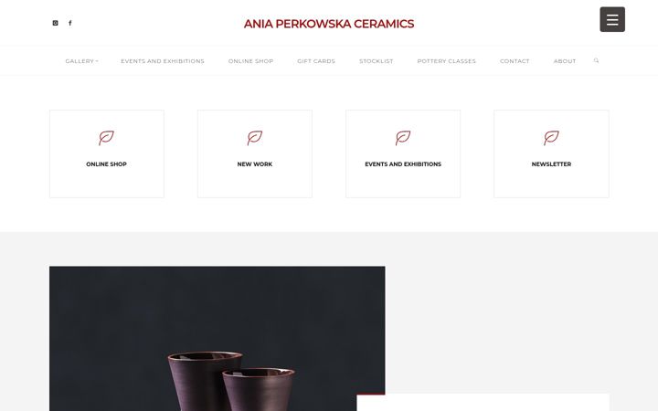 Screenshot di aniaperkowska.com