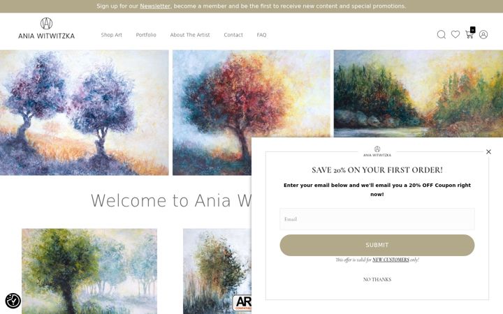 Screenshot of aniawitwitzka.com