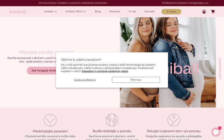 Screenshot of aniball.cz