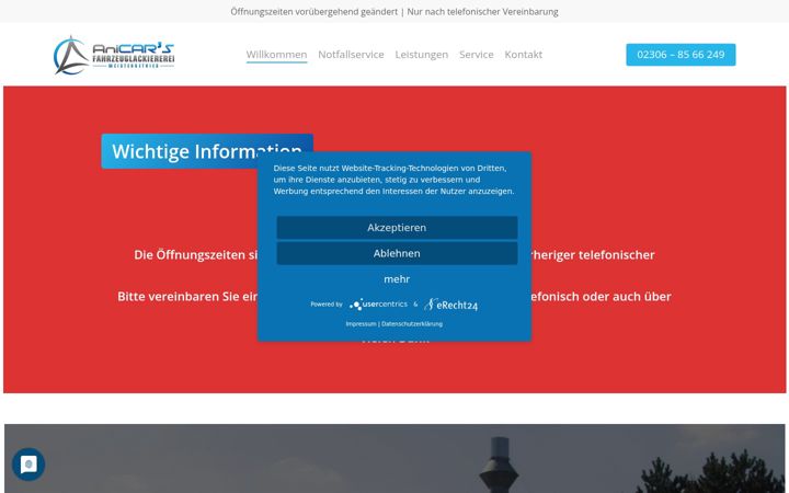 Screenshot of anicars.de