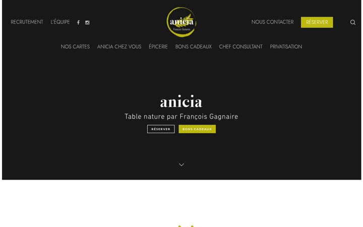 Captură de ecran a anicia-paris.com