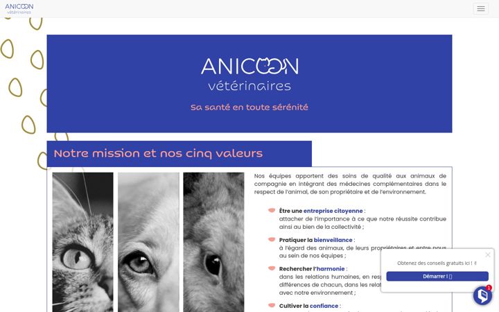 Screenshot of anicoon.fr