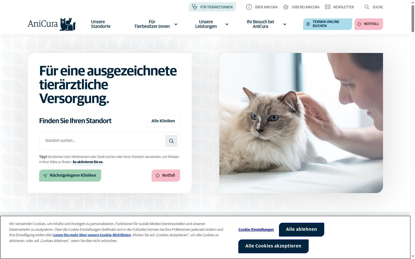 Screenshot of the consent banner shown before any interaction