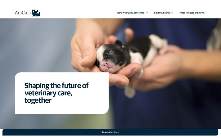 Screenshot of anicuragroup.com