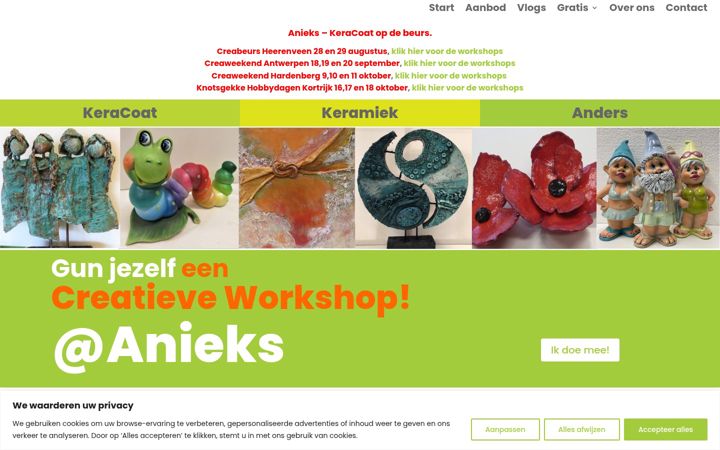 Screenshot of anieks.nl