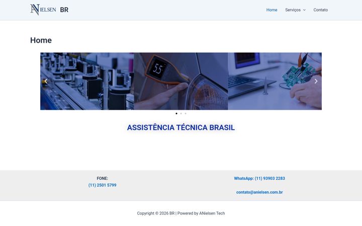 Screenshot of anielsen.com.br