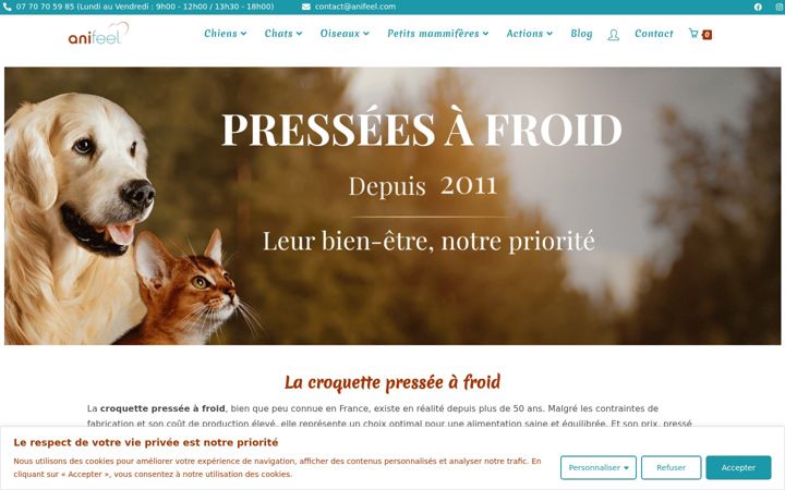 Zrzut ekranu anifeel.com