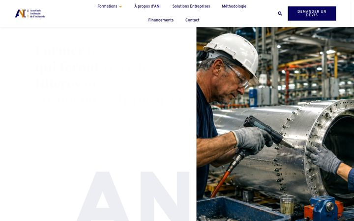 Screenshot of aniformation.fr