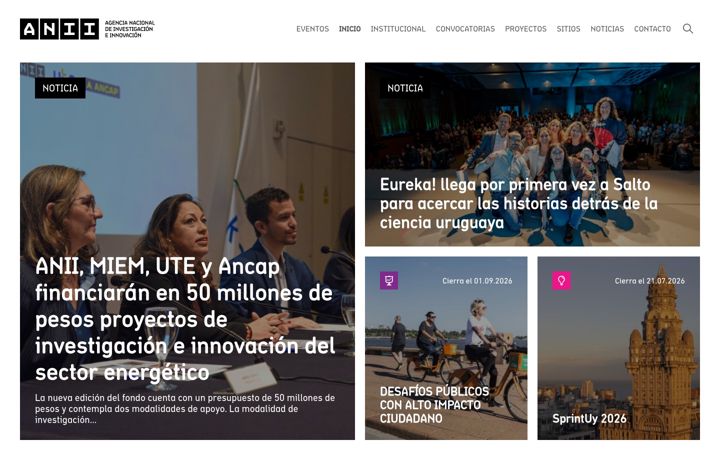 Screenshot of anii.org.uy