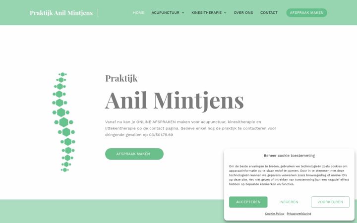 Екранна снимка на anilmintjens.be