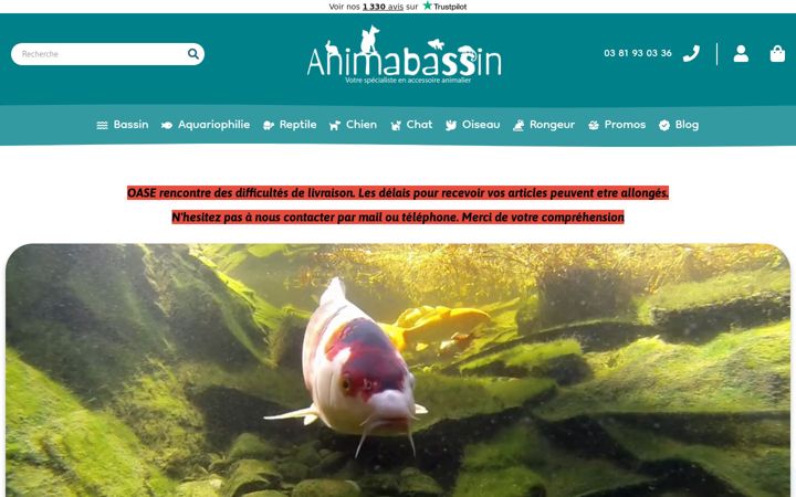 Ekraanipilt saidist animabassin.com