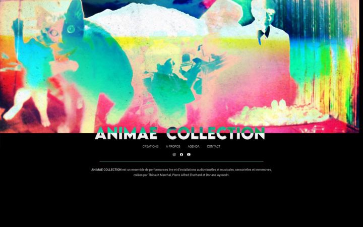 Screenshot of animaecollection.com