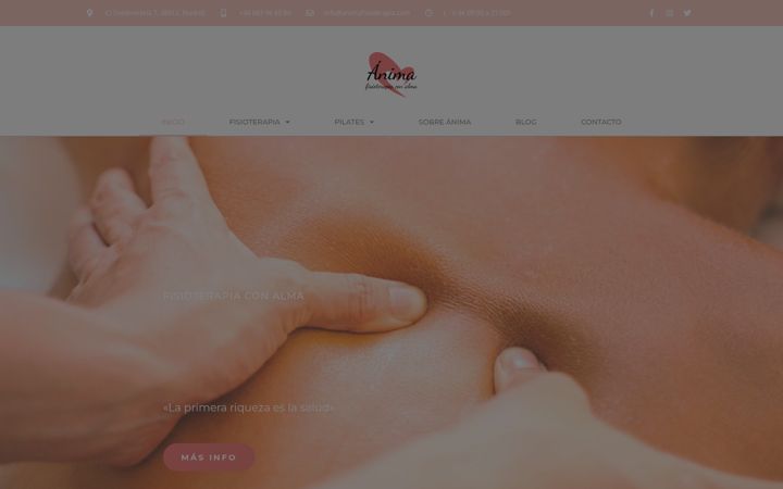 Ekrano kopija animafisioterapia.com