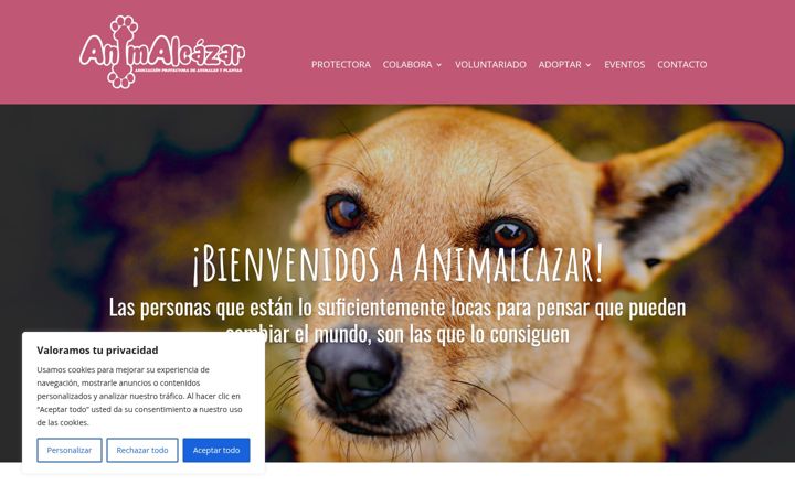Screenshot of animalcazar.es