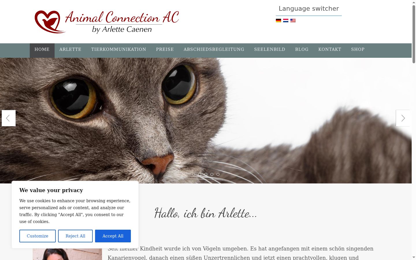 Screenshot of the consent banner shown before any interaction