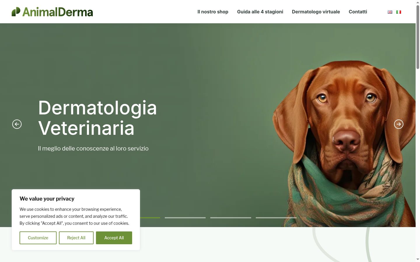 Captura de ecrã do banner de consentimento apresentado antes de qualquer interação