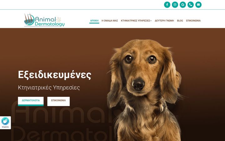 Screenshot of animaldermatology.gr