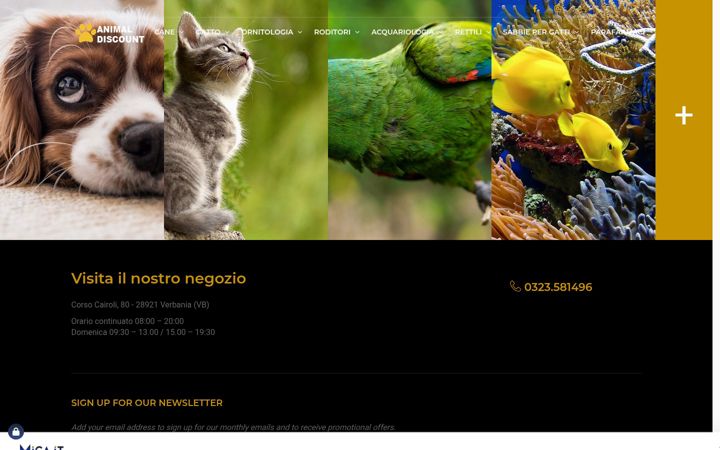 Screenshot of animaldiscountshop.it