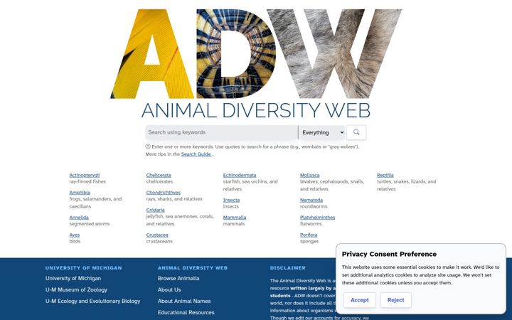 animaldiversity.org