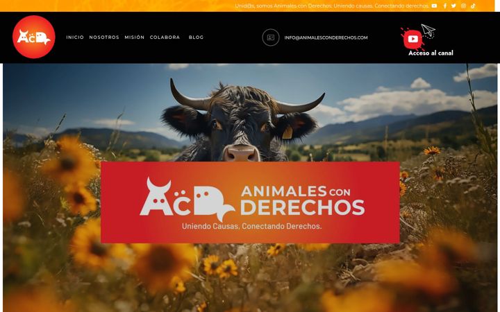 Skærmbillede af animalesconderechos.com