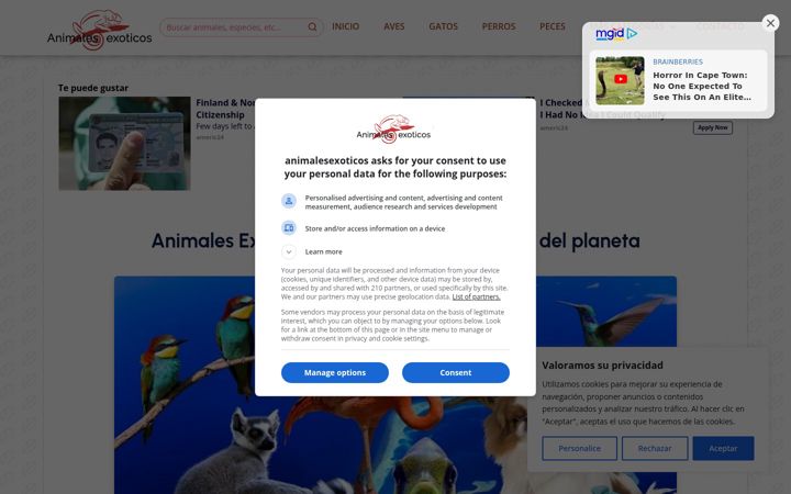 Screenshot of animalesexoticos.wiki