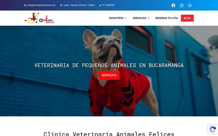 Skærmbillede af animalesfelicesvet.com
