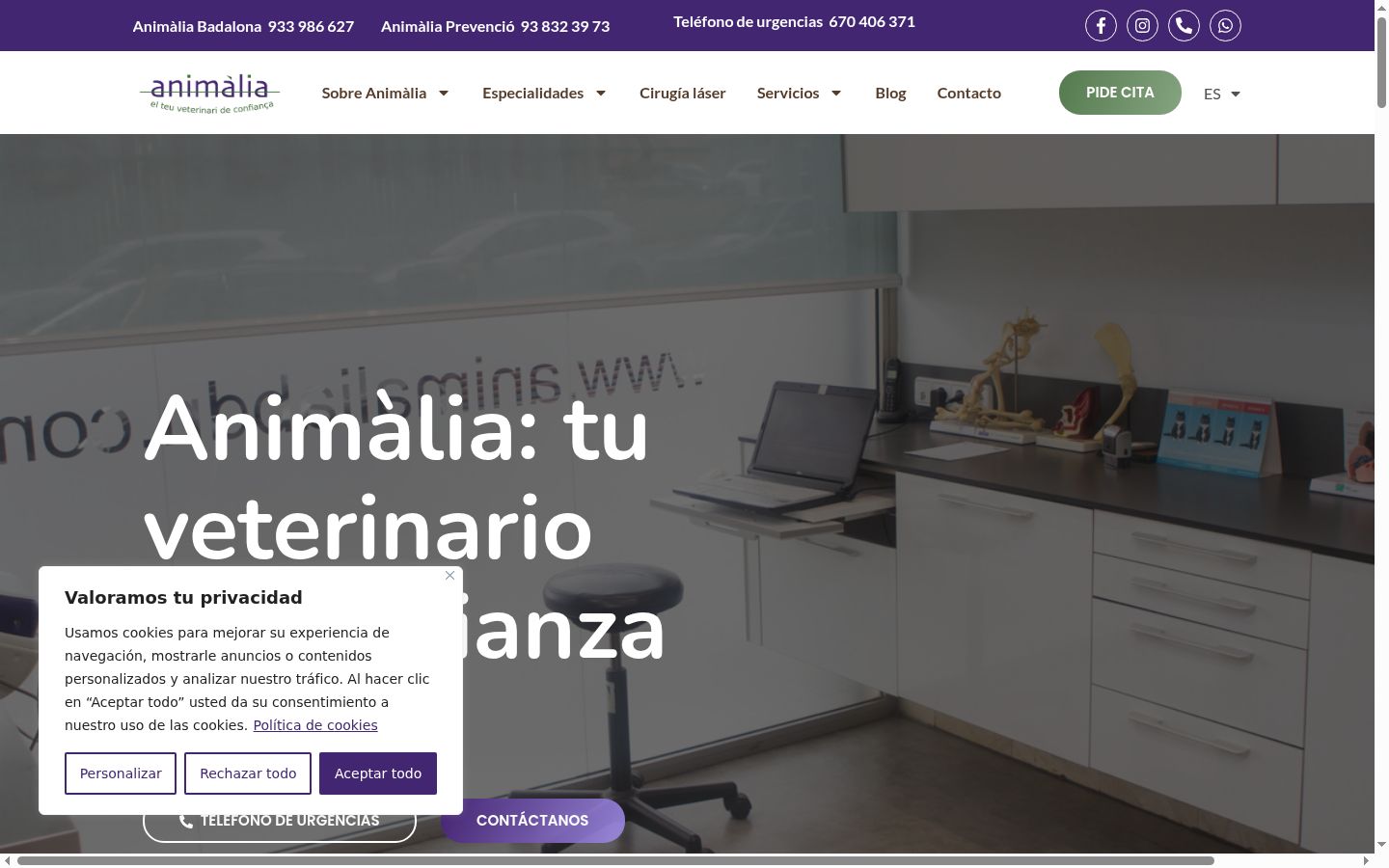 Captura de pantalla del banner de consentimiento mostrado antes de cualquier interacción