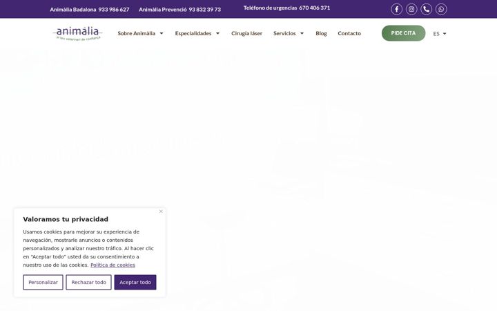 Screenshot of animaliabadalona.com