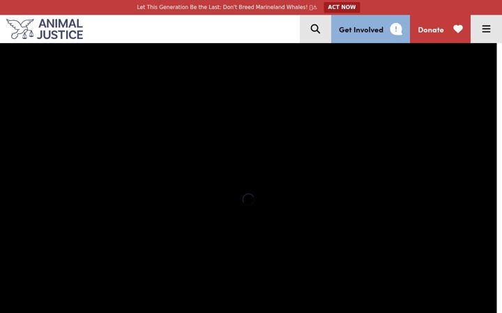 Screenshot of animaljustice.ca