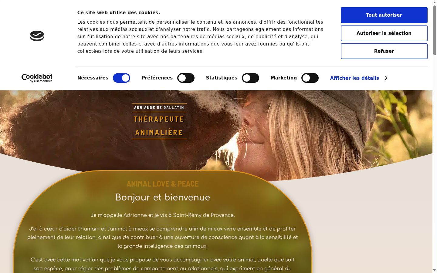 Capture d'écran de la bannière de consentement affichée avant toute interaction