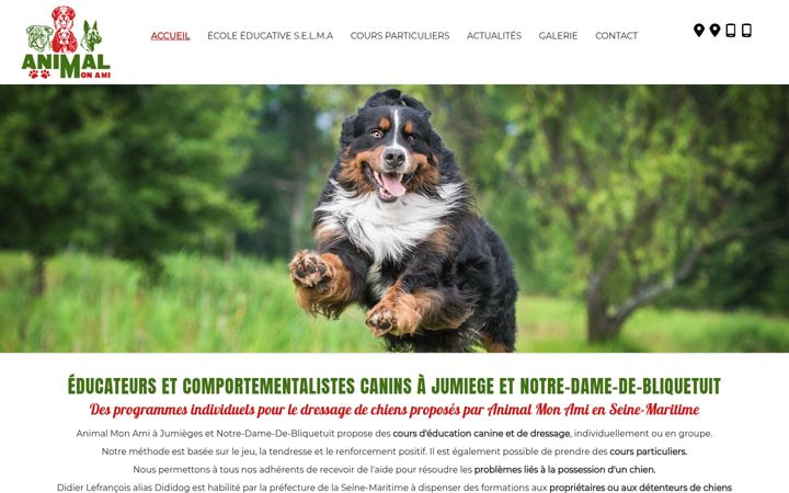 Screenshot of animalmonamidididog.fr
